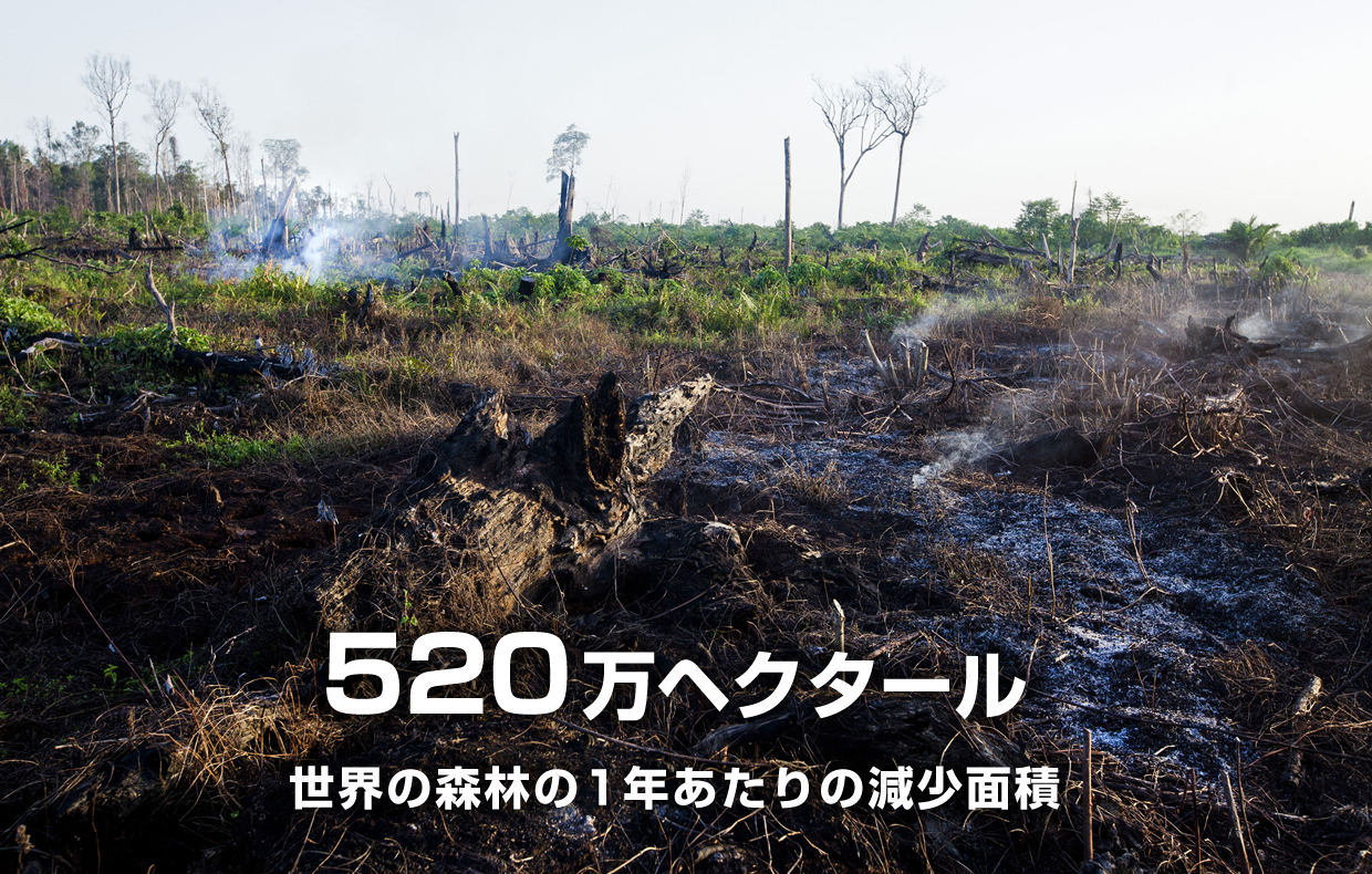 世界の森林面積の1年あたりの減少面積 520万ヘクタール