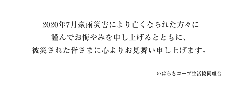 組立 輸送等の都合で納期に1週間以上かかります Iwata 岩田製作所 代引不可 バンパープロ Bp1 作業用品 4m Bp1 Bp1 L4 ムラウチ 時計 直送品 北海道 沖縄県 離島には配送できません