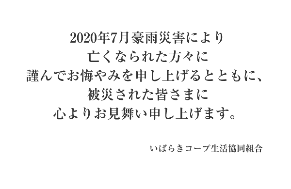 組立 輸送等の都合で納期に1週間以上かかります Iwata 岩田製作所 代引不可 バンパープロ Bp1 作業用品 4m Bp1 Bp1 L4 ムラウチ 時計 直送品 北海道 沖縄県 離島には配送できません